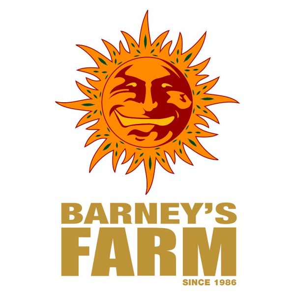 Seme Barneys Farm GMO AUTO 1 fem